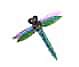 
glass Dragon Fly 