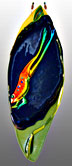glass Diving Frog